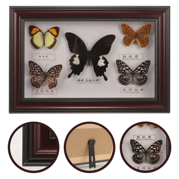 Настенная Рамка для образцов бабочек, Рамка для образцов настоящих Бабочек, Рамка для показа образцов бабочек, Рамка для подвешивания