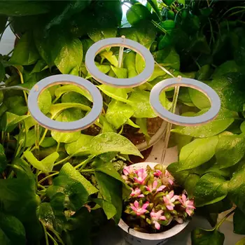 Светодиодное кольцо ангела, лампа для выращивания DC5V USB фитолампа для растений, светодиодная лампа полного спектра для рассады комнатных растений, Домашний цветок суккулетт