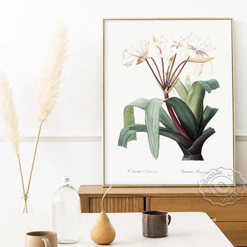 Плакат с коллекцией различных цветов и растений, акварельные принты с декоративными цветами, тихая элегантная декоративная роспись отеля Flora